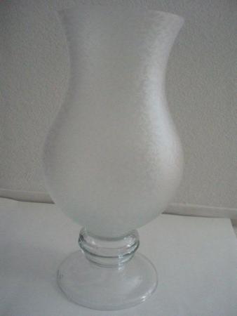 Brand New Glass Vase = $10